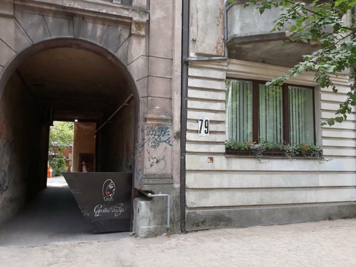 Stay In Kaunas - Free Parking المظهر الخارجي الصورة